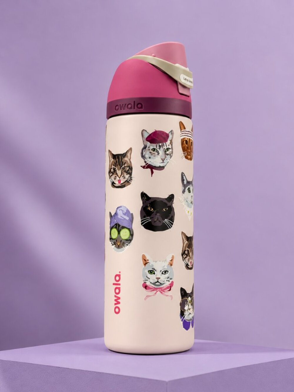 Owala 32oz Water Bottle Leakproof Insulated Straw Bottle